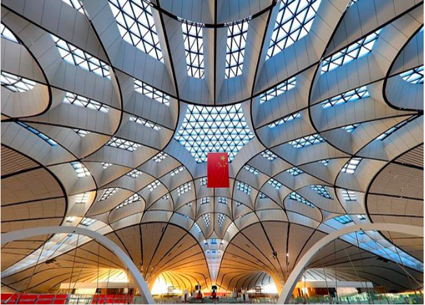 我與祖國(guó)共奮進(jìn)！